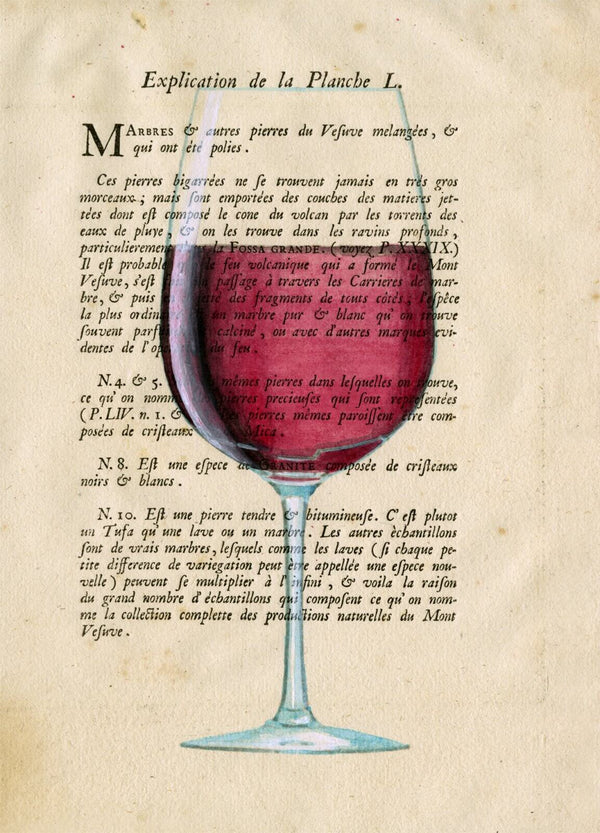 Pagina Vino Rosso